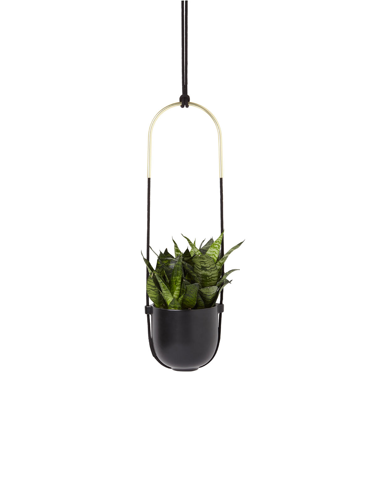 Umbra Bolo Hanging Planter - Black