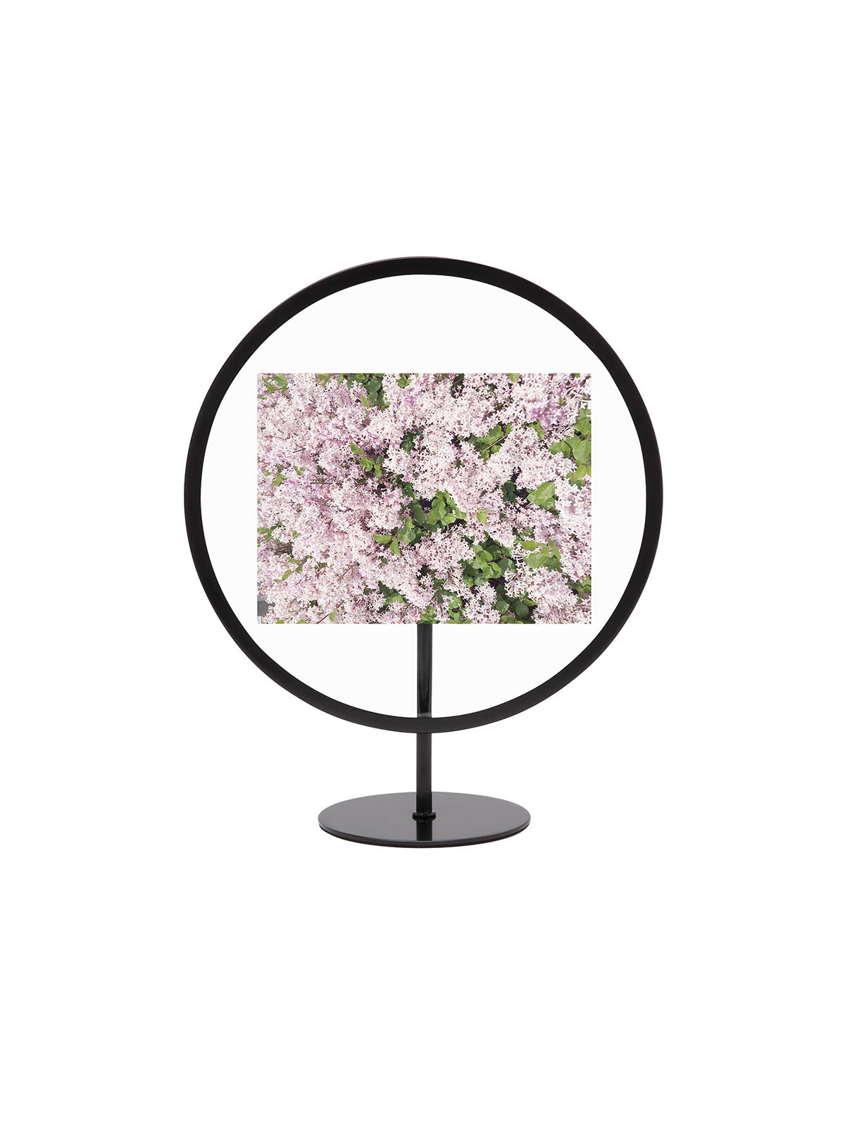 Umbra Infinity Picture Frame - 4x6 Black