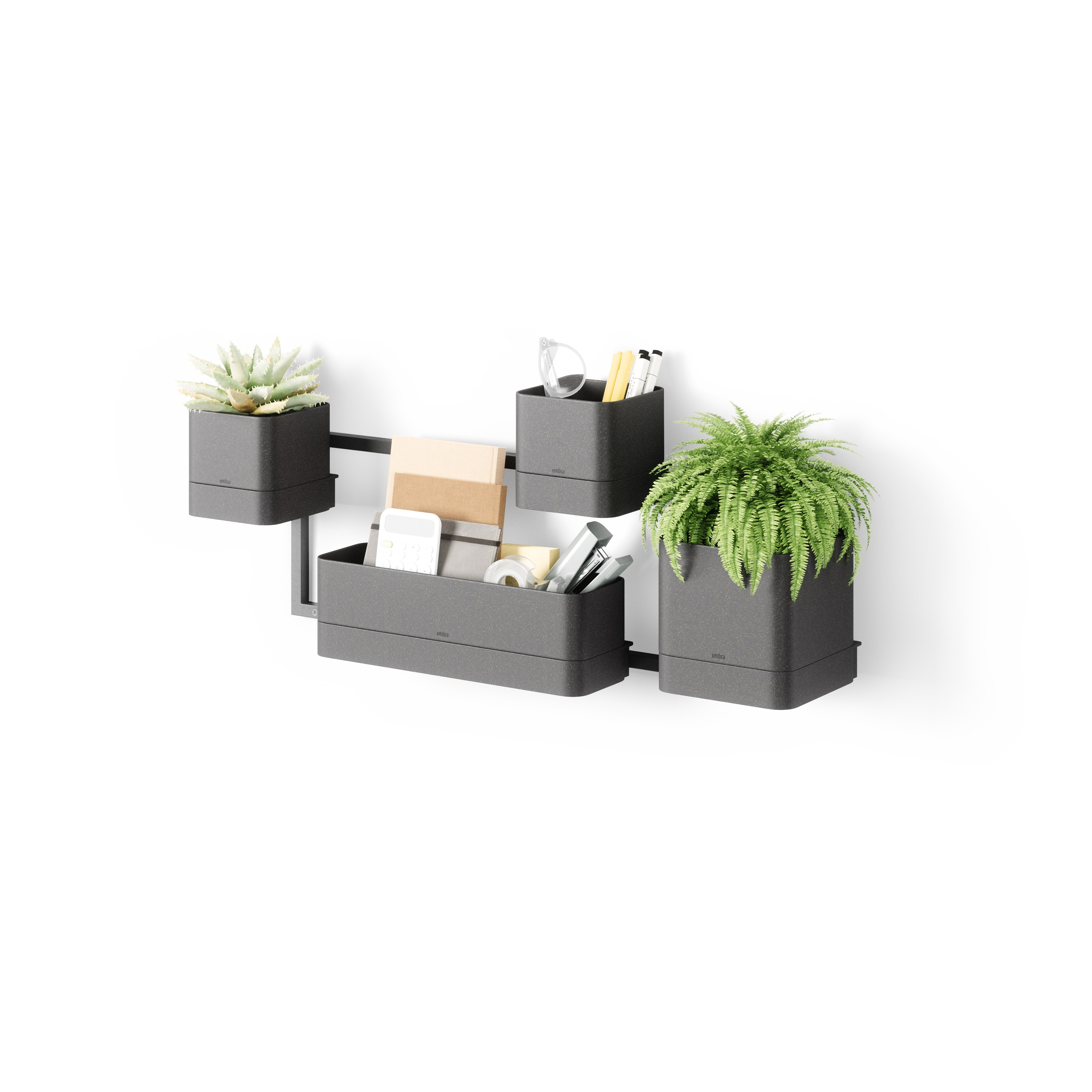 Cubiko Wall Planter - Black Wall Planter UMBRA