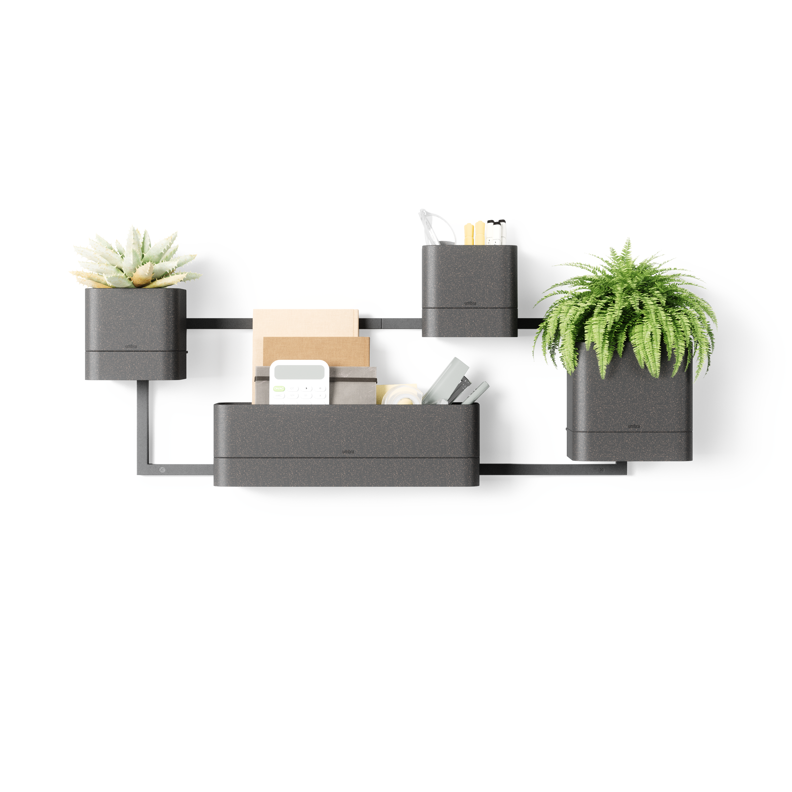 Cubiko Wall Planter - Black Wall Planter UMBRA