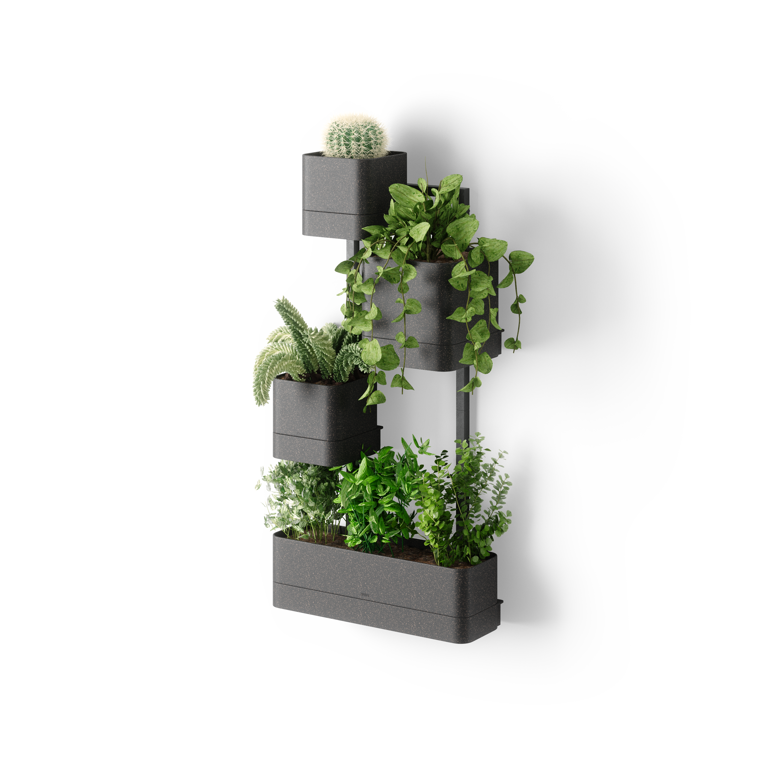 Cubiko Wall Planter - Black Wall Planter UMBRA