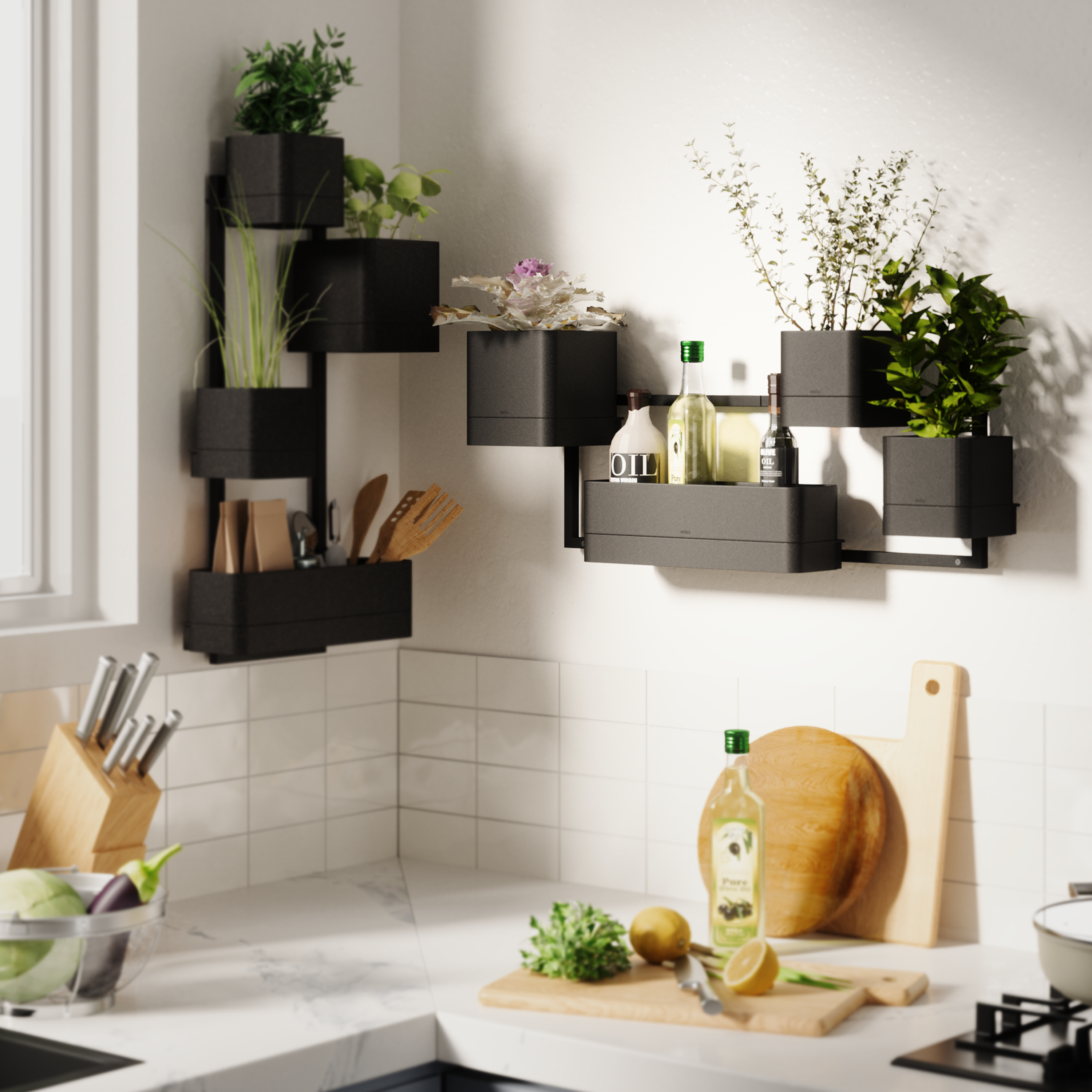 Cubiko Wall Planter - Black Wall Planter UMBRA