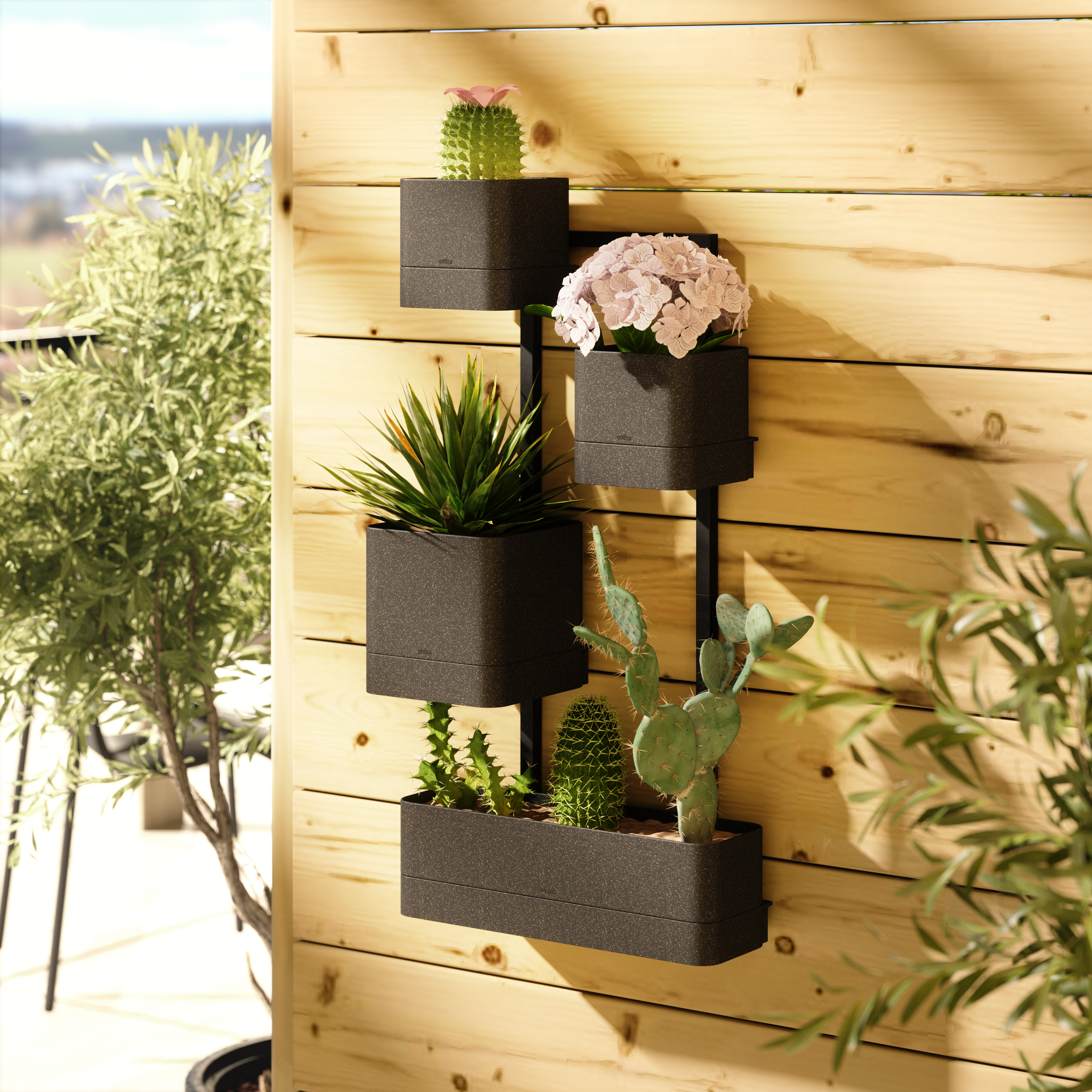 Cubiko Wall Planter - Black Wall Planter UMBRA