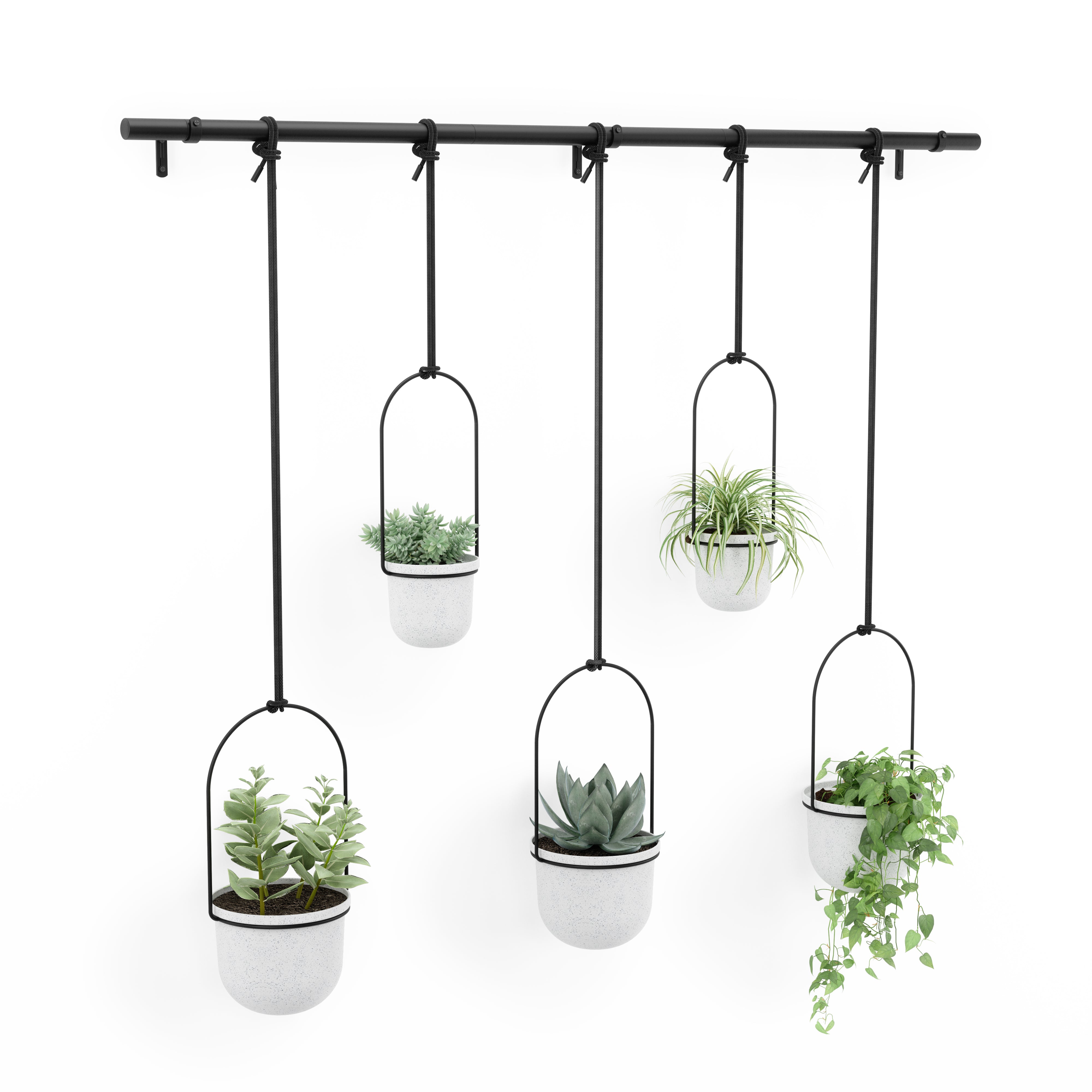 Triflora Hanging Planter Set of 5 - White Organiser UMBRA