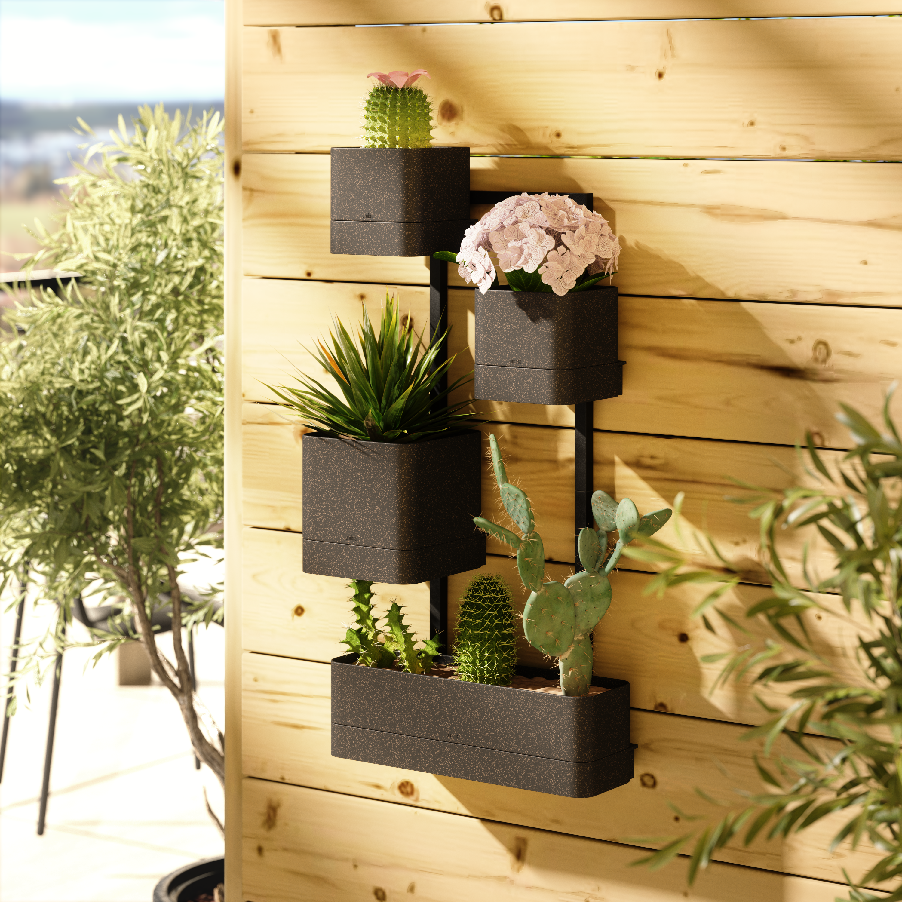  Cubiko Wall Planter - Black Wall Planter UMBRA