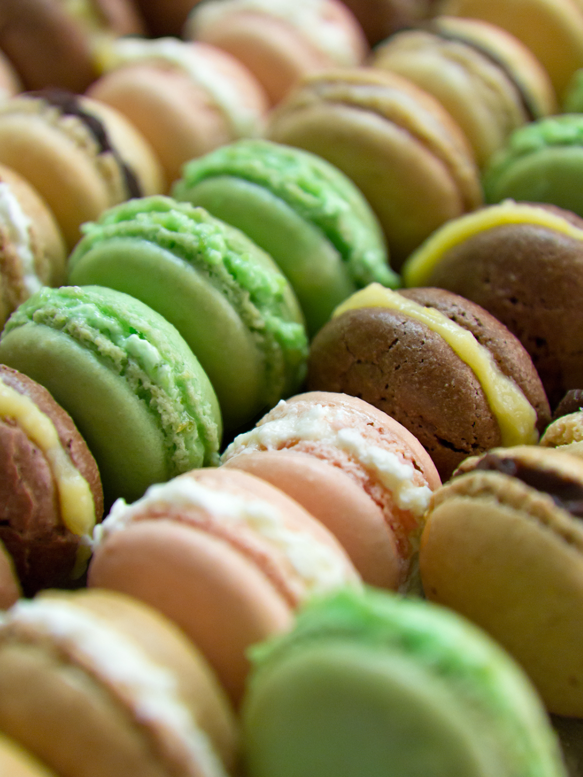 Lekue Macaron Kit