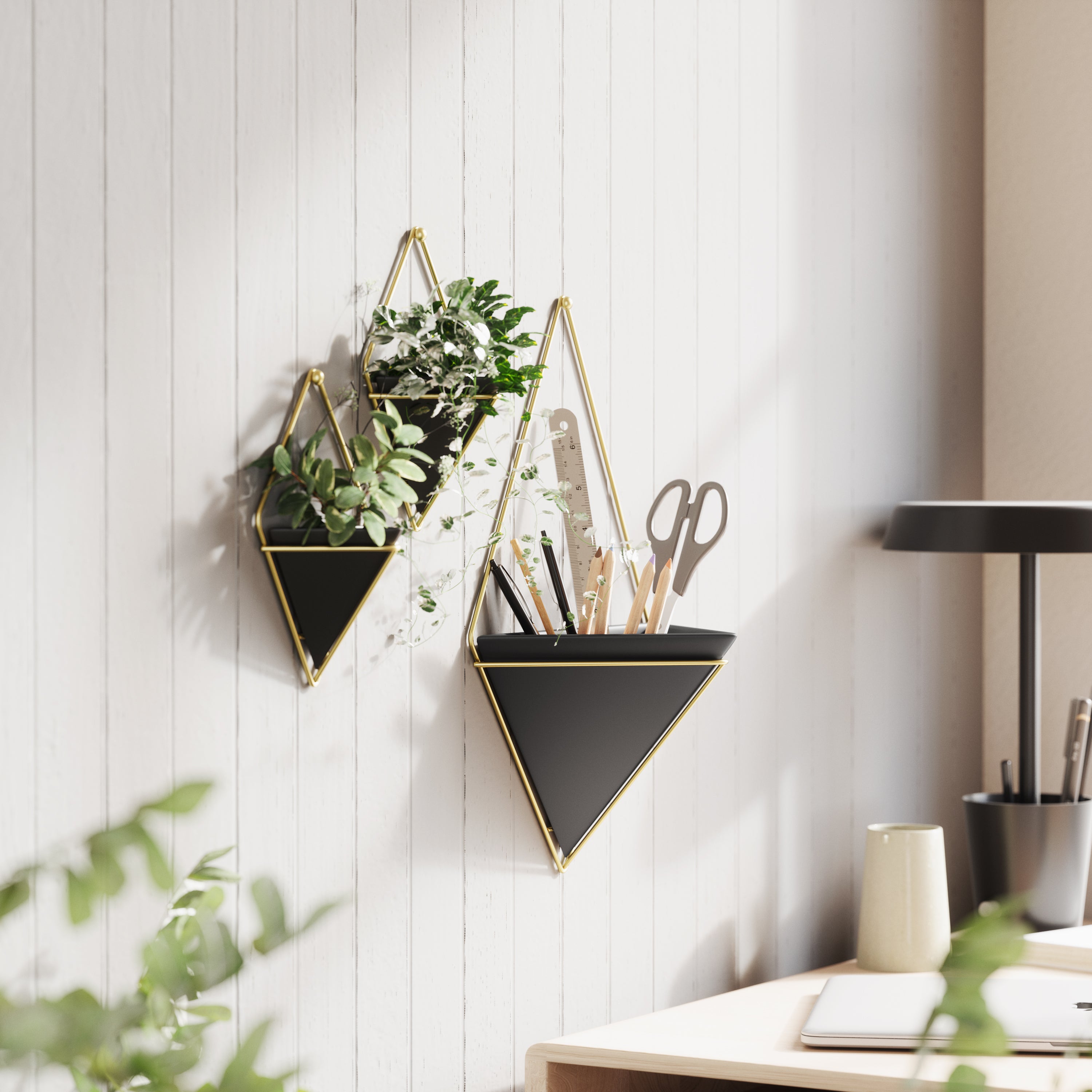  Trigg Large Wall Vessel - Black/Brass Organiser UMBRA