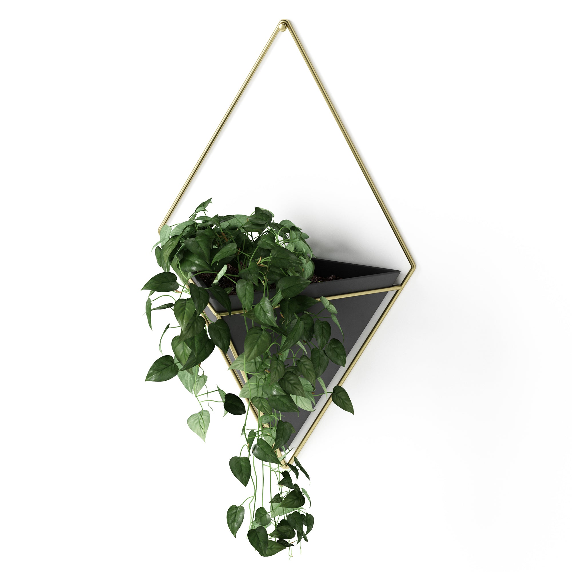  Trigg Large Wall Vessel - Black/Brass Organiser UMBRA