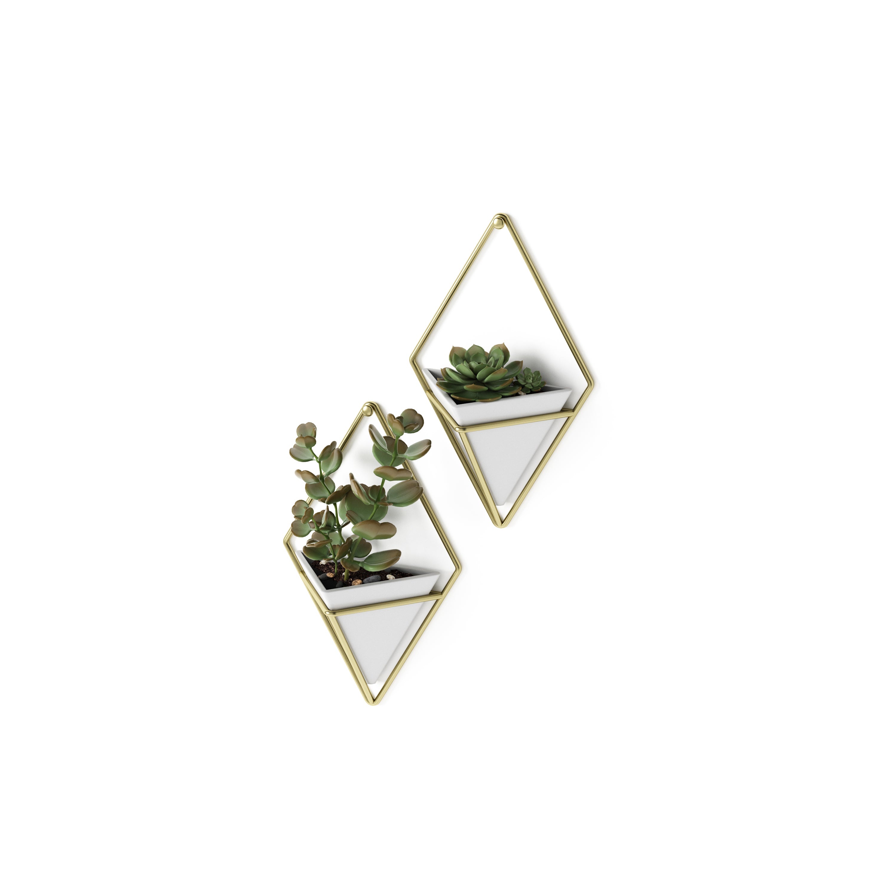  Trigg Small Wall Vessel Set 2 - White/Brass Organiser UMBRA