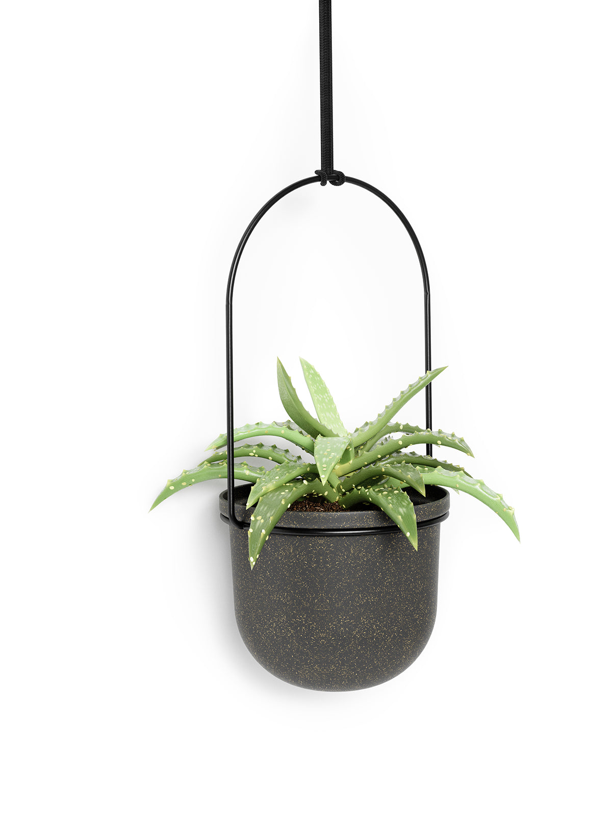 UMBRA Triflora Hanging Planter Set of 5 - Black