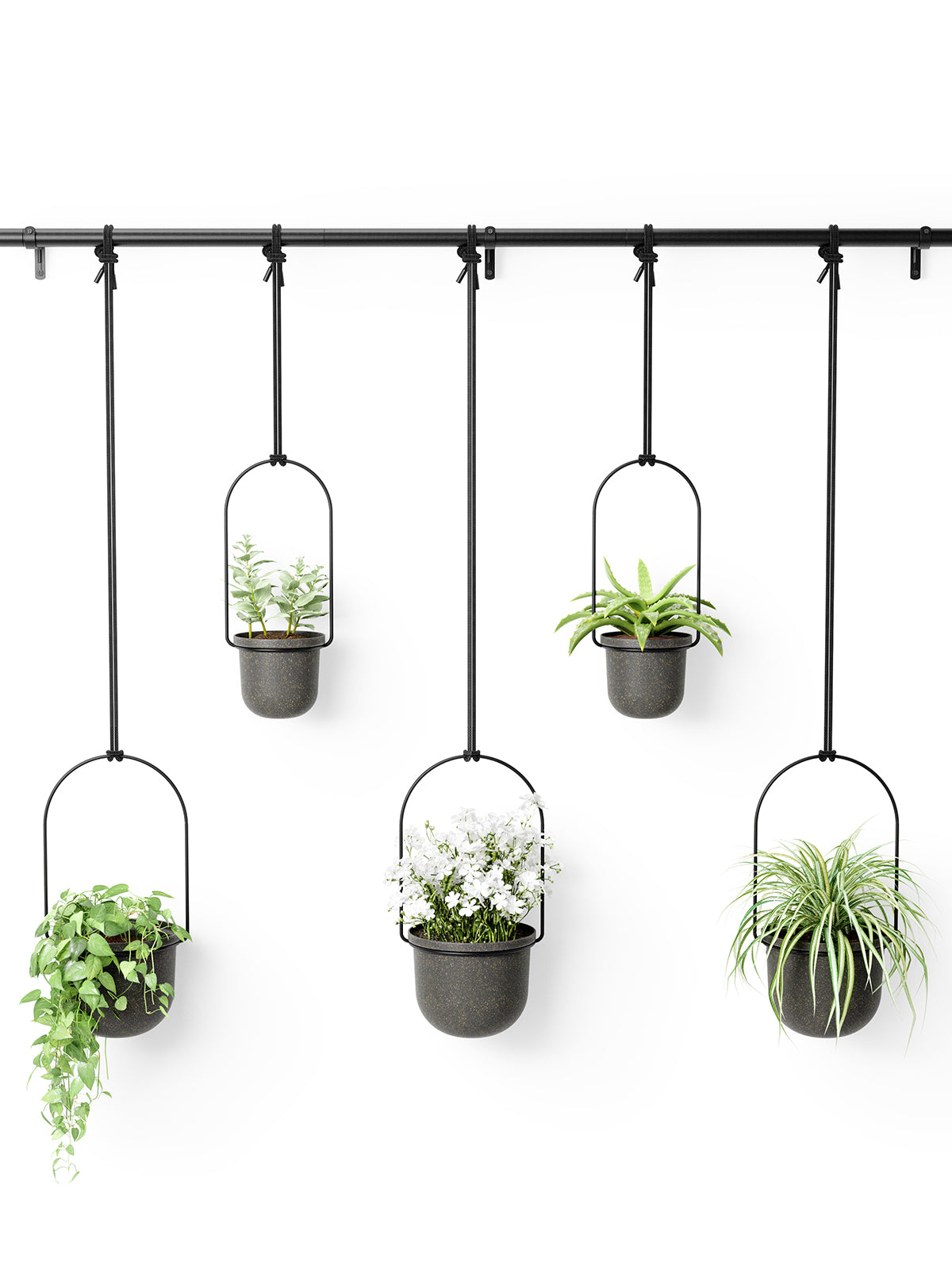 UMBRA Triflora Hanging Planter Set of 5 - Black