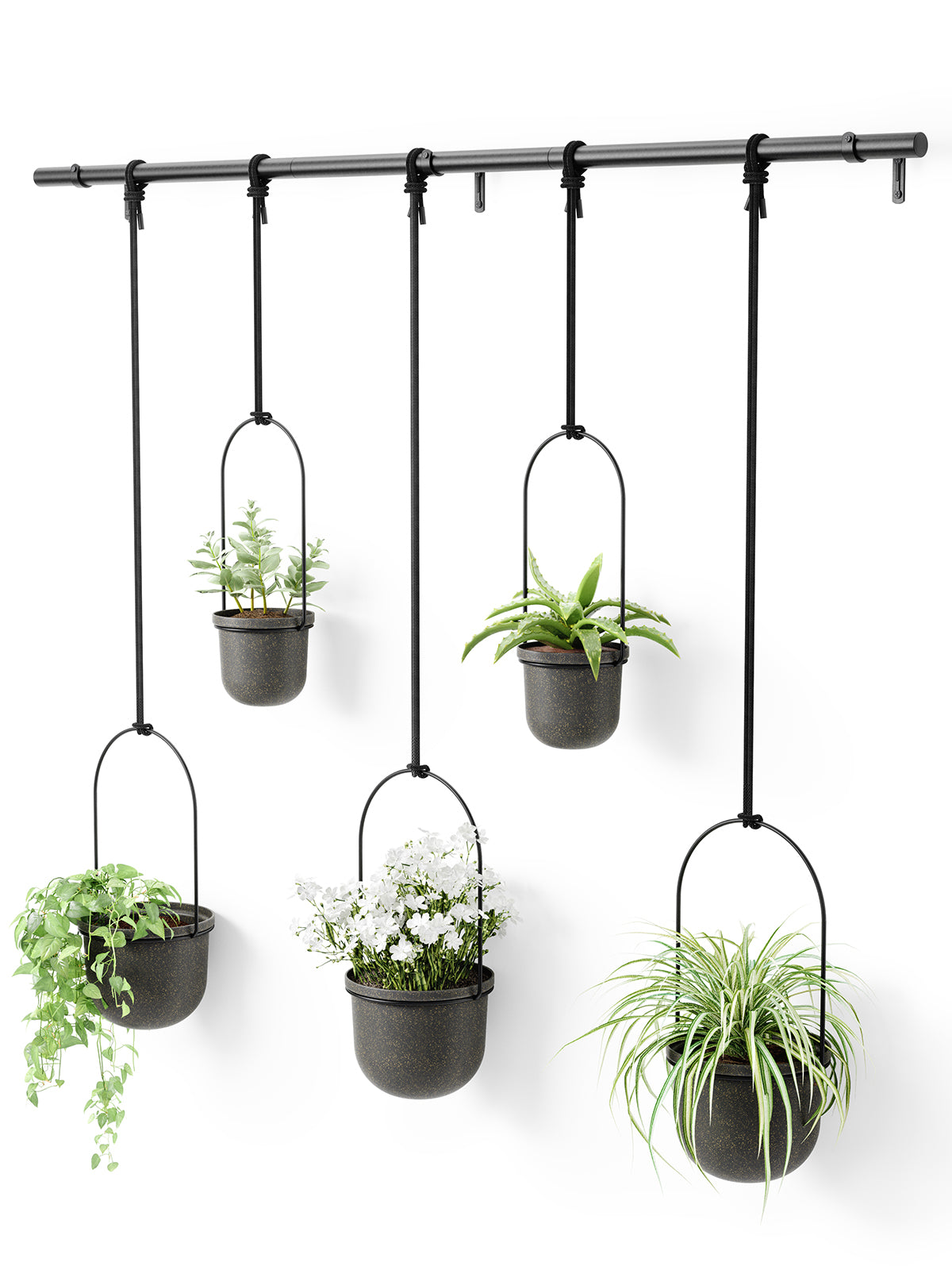 UMBRA Triflora Hanging Planter Set of 5 - Black