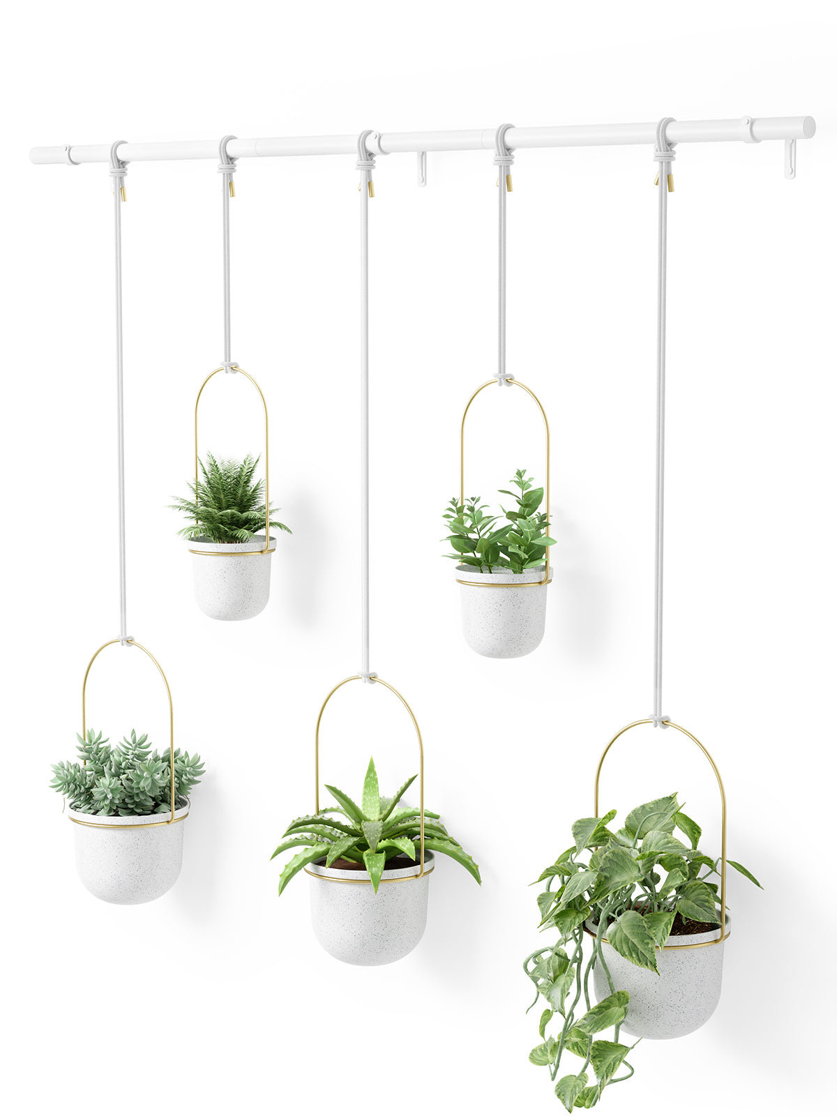 UMBRA Triflora Hanging Planter Set of 5 - White/Brass