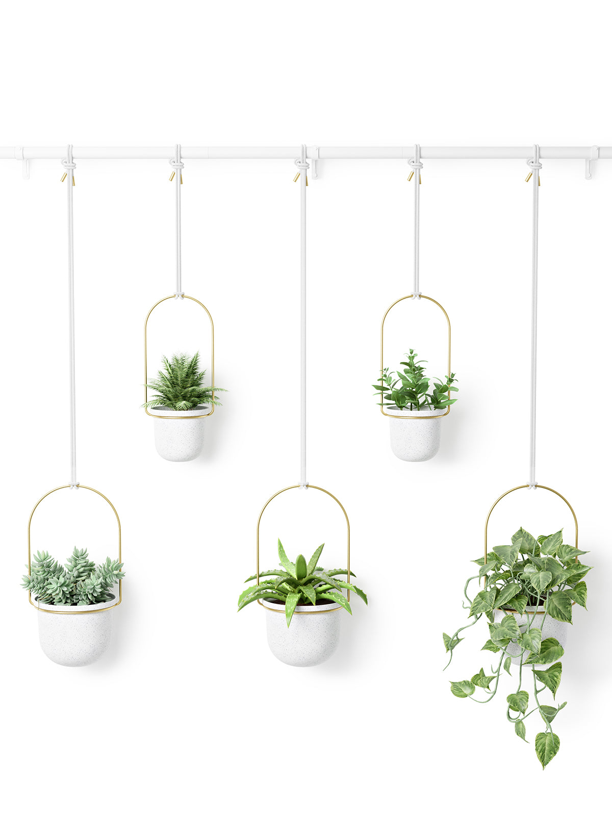 UMBRA Triflora Hanging Planter Set of 5 - White/Brass