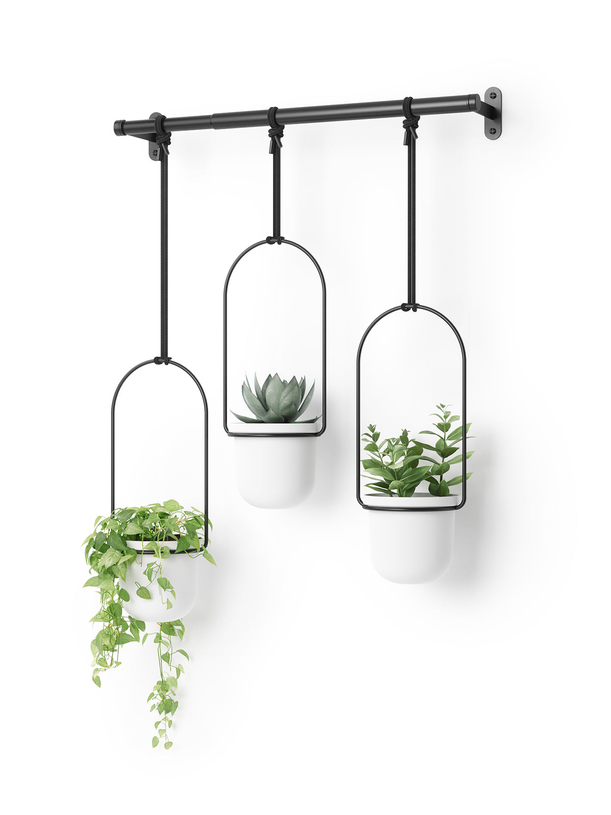 UMBRA Triflora Hanging Planter - White